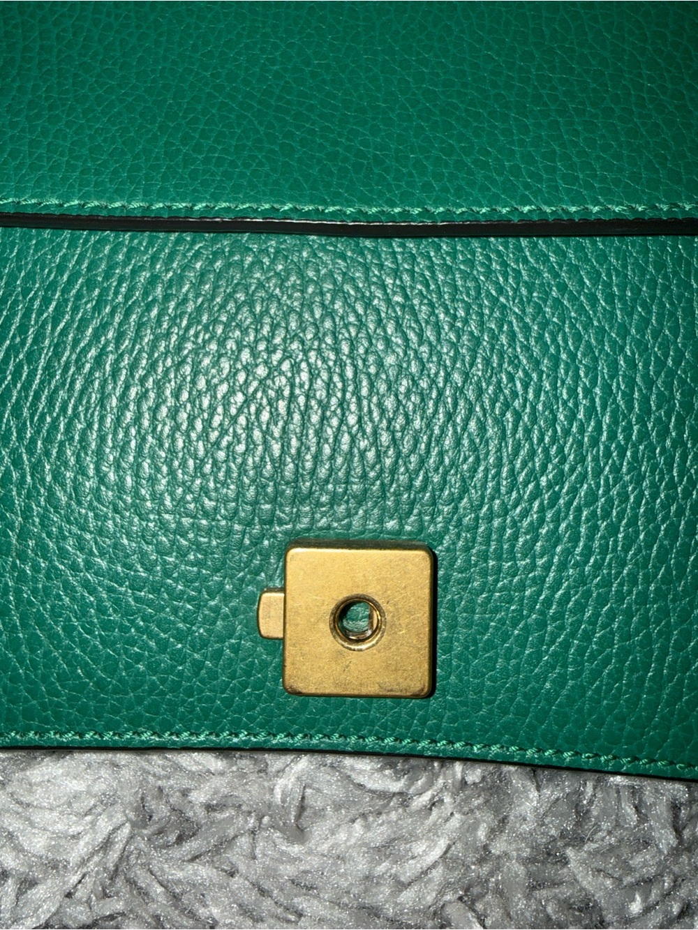 Gucci Green Leather Dionysus Shoulder Bag with Antique Gold Hardware - Picture 10 of 11